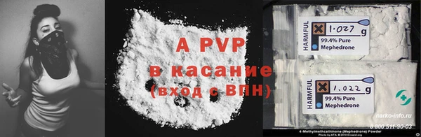 прущие грибы Богородск