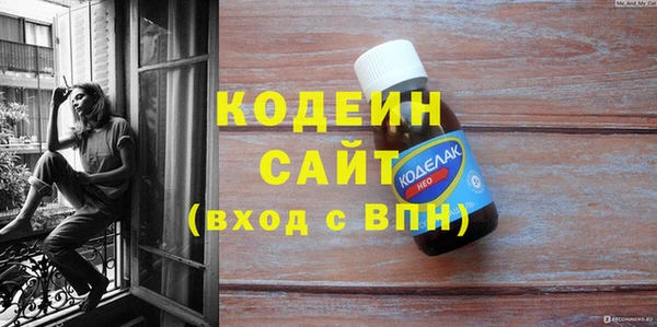 молекула духа Бородино