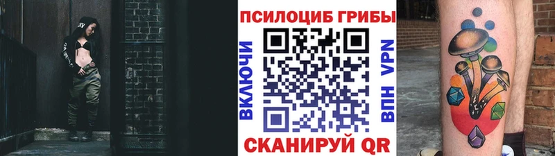 Псилоцибиновые грибы GOLDEN TEACHER  дарнет шоп  сайты даркнета как зайти  Демидов 